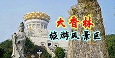 用大鸡巴操骚逼视频中国浙江-绍兴大香林旅游风景区